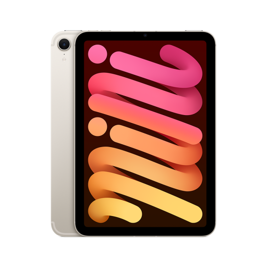 Apple iPad mini Wi-Fi + Cellular 256GB